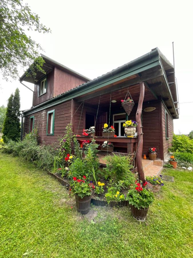 Dom Na Skraju Puszczy Bialowieskiej Narewka Exterior foto