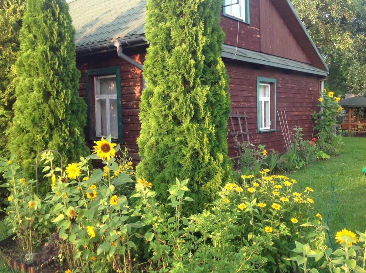 Dom Na Skraju Puszczy Bialowieskiej Narewka Exterior foto
